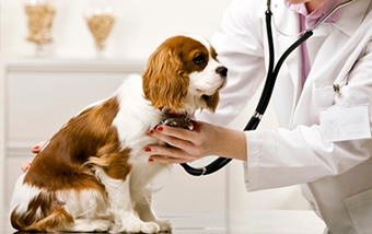 Psychological Counselling